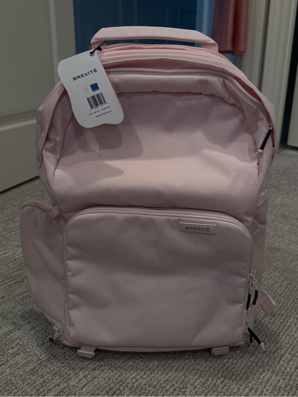 Brevité Light Pink Backpack